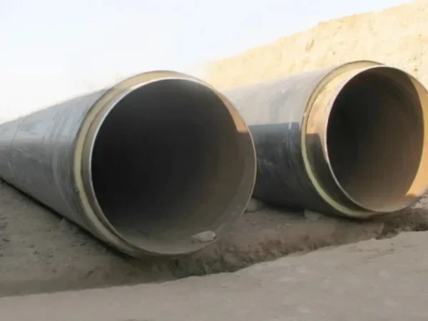 Insulated pipe